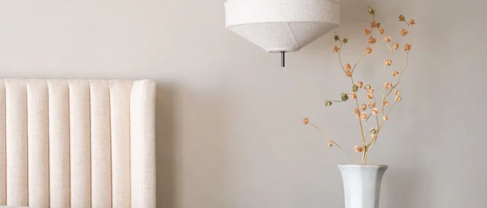American clay plaster wall with a soft, suede-like texture