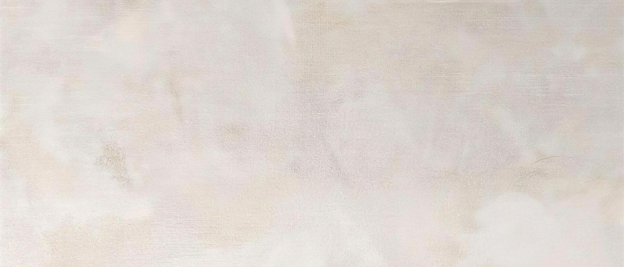 Savannah plaster wall with soft, layered organic texture
