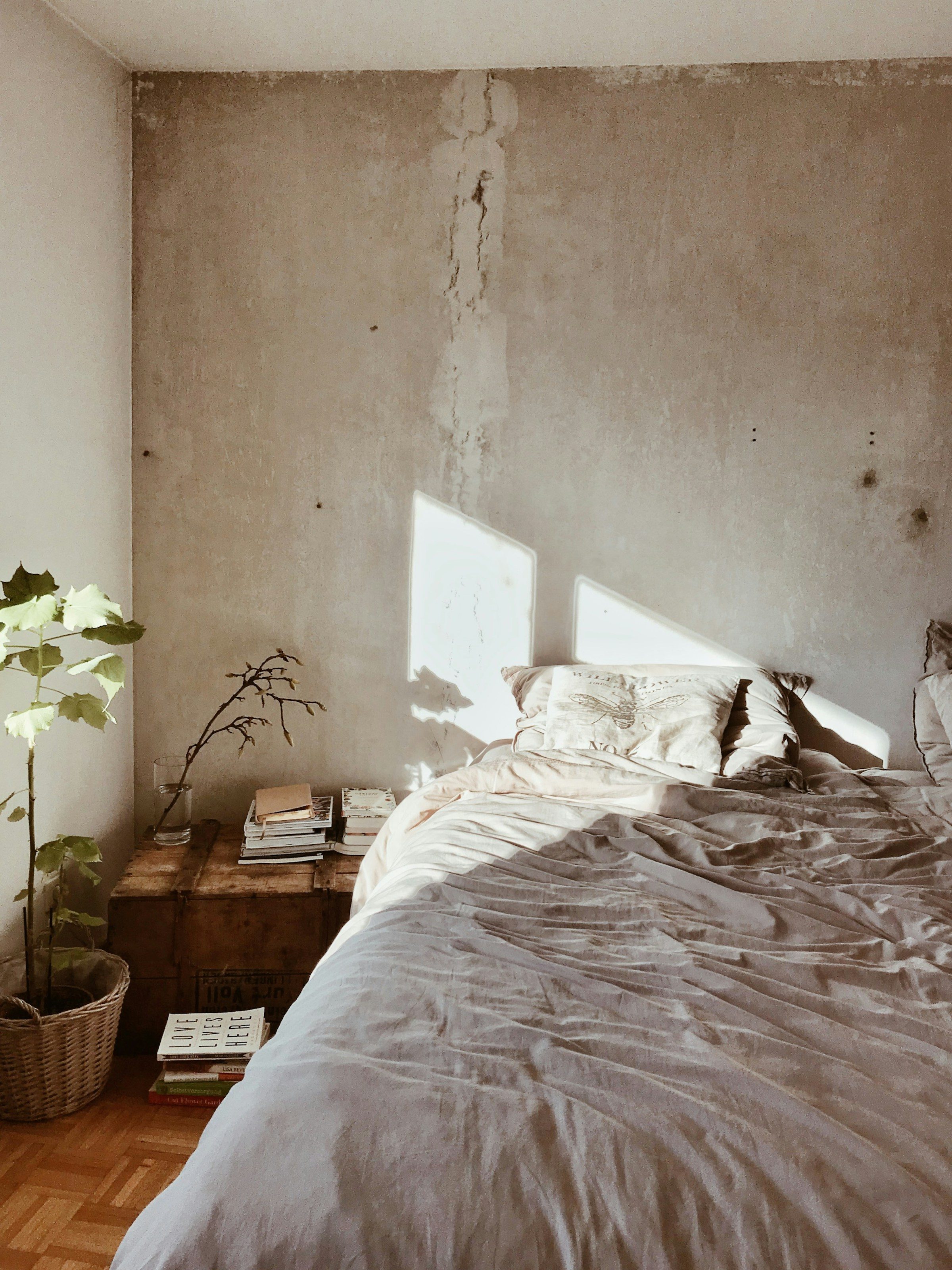 Softly textured plaster wall beside a bed in morning light